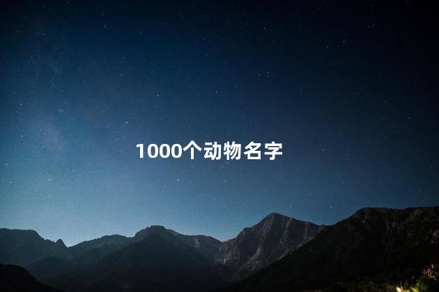 1000个动物名字