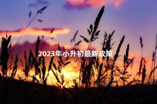 2023年小升初最新政策