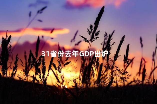 31省份去年GDP出炉