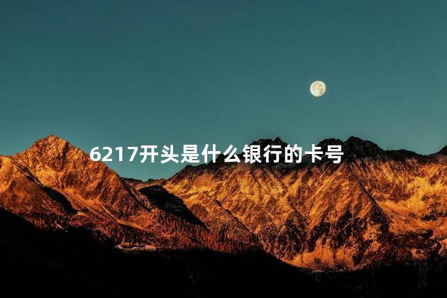 6217开头银行卡是哪里的