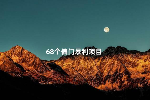 68个偏门暴利项目