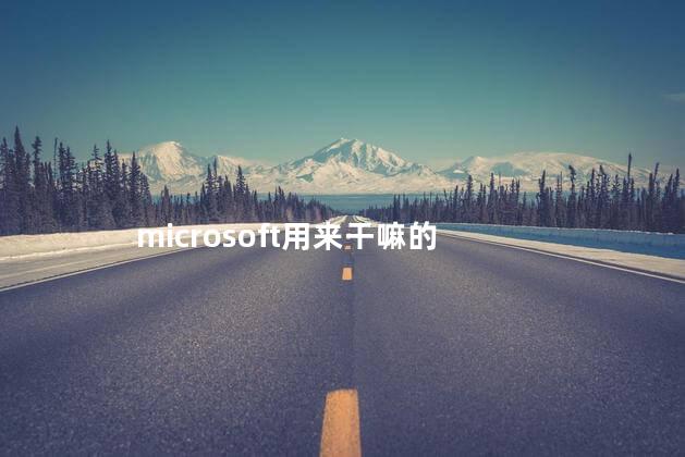 microsoft用来干嘛的