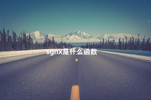 sgnx是什么函数