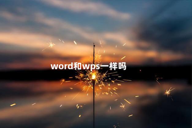 word和wps一样吗