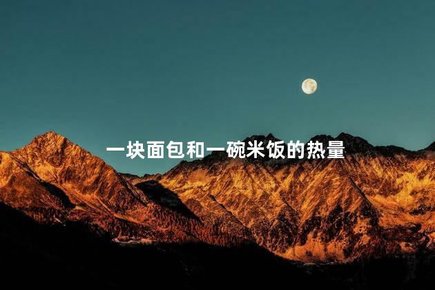 一块面包和一碗米饭的热量