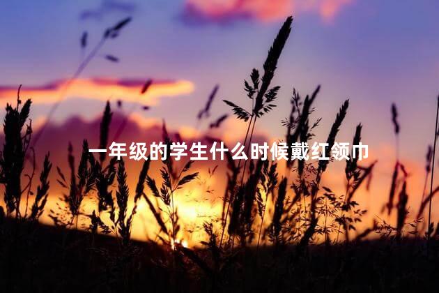 一年级的学生什么时候戴红领巾