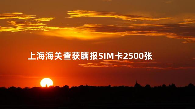 上海海关查获瞒报SIM卡2500张