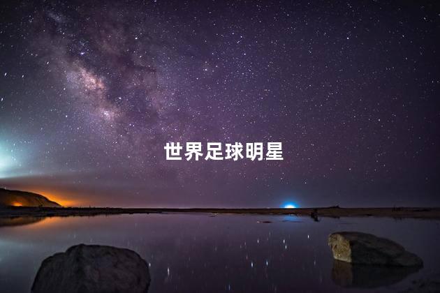 世界足球明星