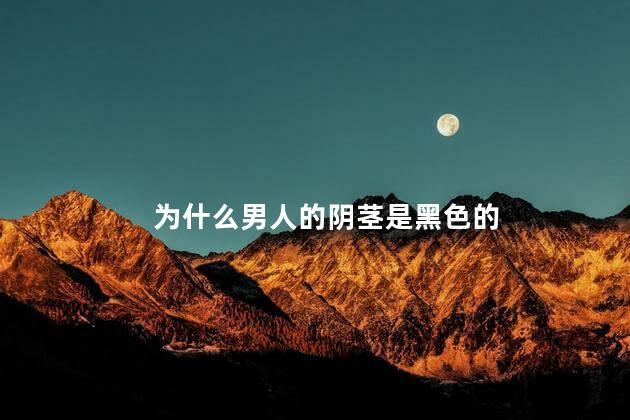 为什么男人的阴茎是黑色的
