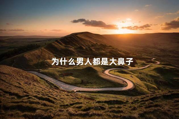为什么男人都是大鼻子