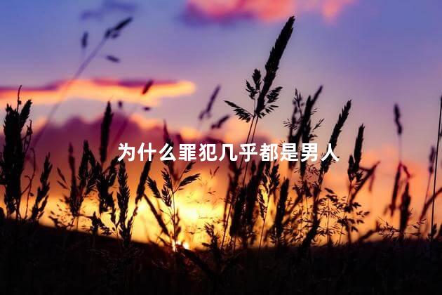 为什么罪犯几乎都是男人