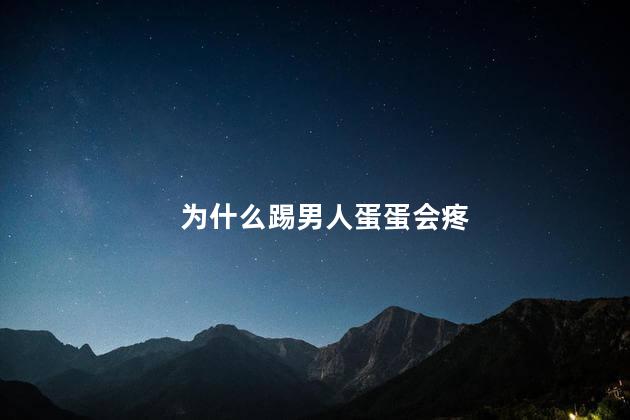 为什么踢男人蛋蛋会疼