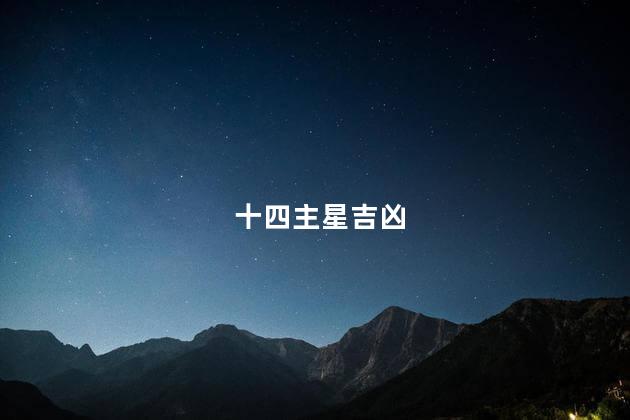 十四主星吉凶