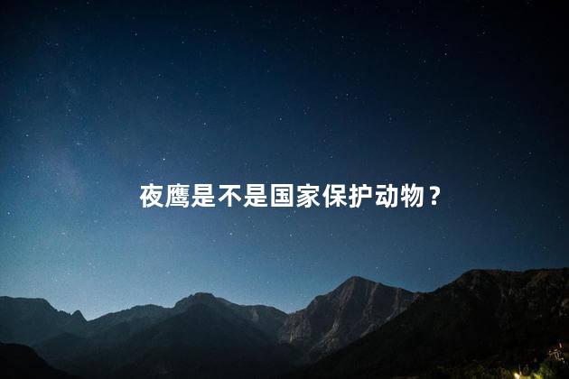 夜鹰是不是国家保护动物