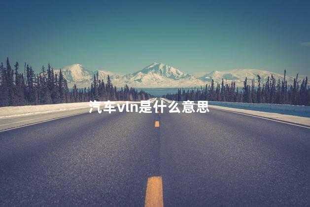 汽车vln是什么意思