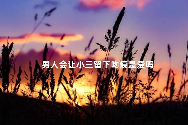 男人会让小三留下吻痕是爱吗