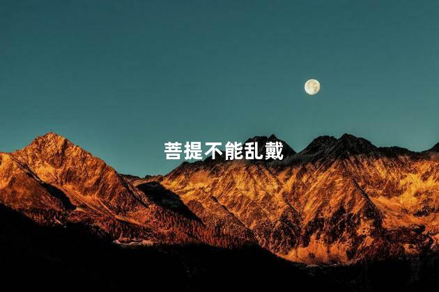 菩提不能乱戴