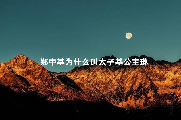 太子基和公主琳什么关系